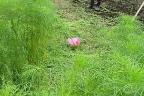 IMG_3342