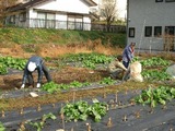 blog2003_0101¥¬¥¤¥¢ÆóÆüÌÜ0003