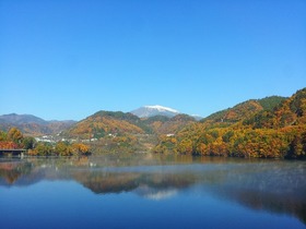 blog