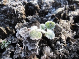 blogIMG_5934