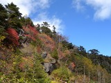 紅葉6