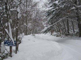 blog2IMG_6190