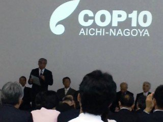 blogPAP_0005
