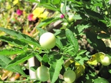 blogIMG_5295