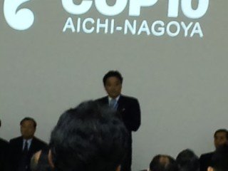 blogPAP_0003