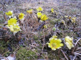 blogIMG_0320