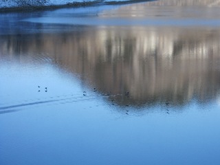 blogIMG_1759
