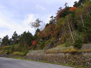 blogRIMG0032