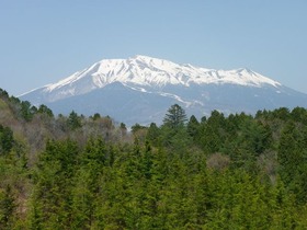 IMGP4159