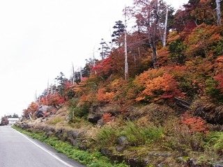 blogRIMG0039