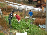 blog2003_0101¥¬¥¤¥¢ÆóÆüÌÜ0001