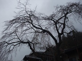 20170426-1