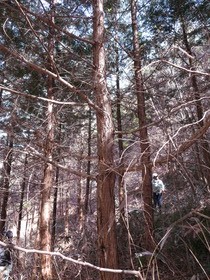 IMG_0030