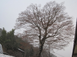 blogIMG_6167