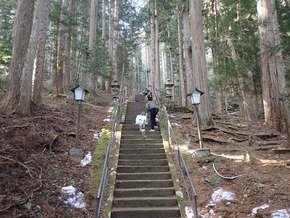 20190108 (4)