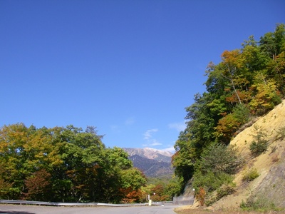 シラカバ峠