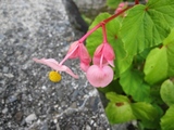 blogIMG_5291