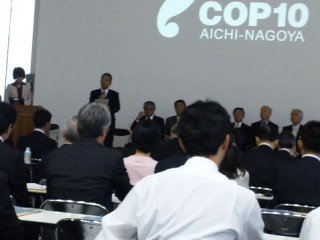 blogPAP_0006