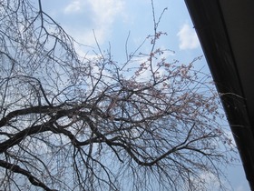 blog IMG_1565