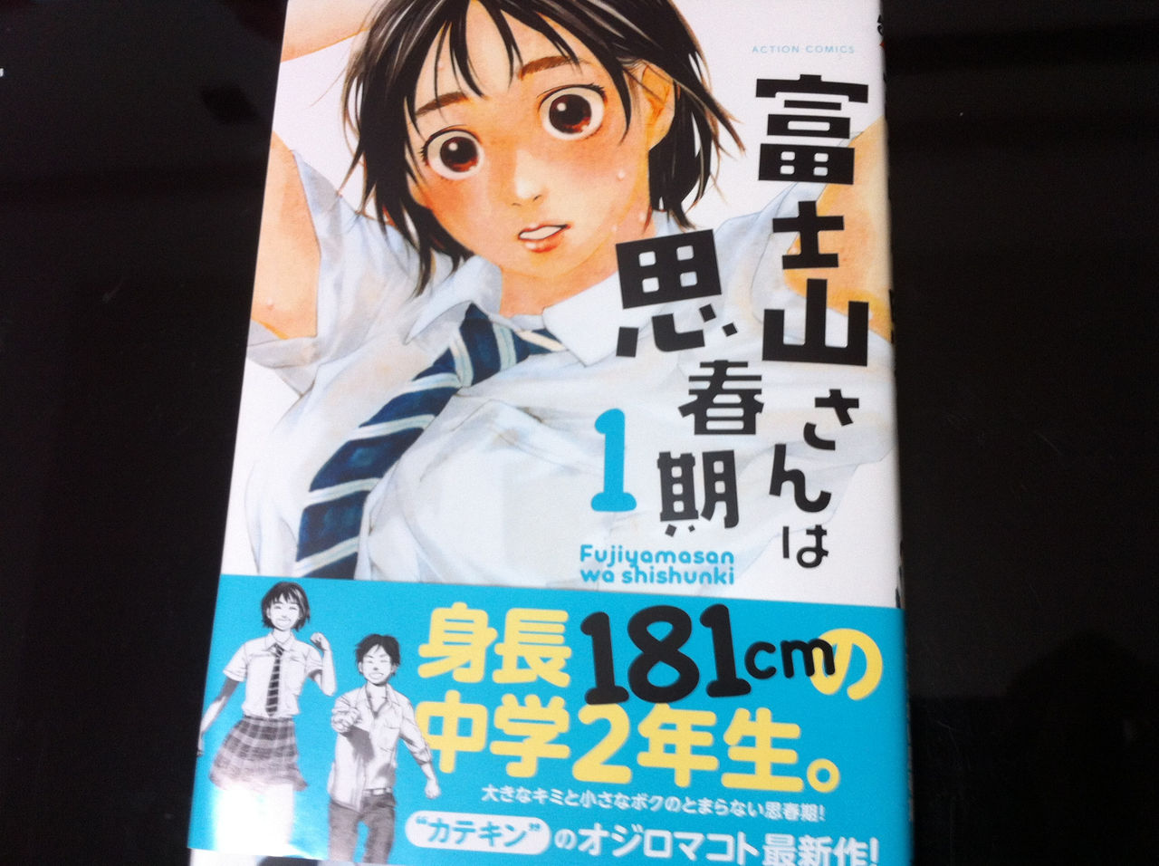 181cmの健康的なエロス 富士山さんは思春期 1巻 オタクレビュー 漫画 アニメの感想と新作情報 既刊も時々 管理人は百合が好き 181cmの健康的なエロス 富士山さんは思春期 1巻 オタクレビュー 漫画 アニメの感想と新作情報 既刊も時々 管理人は百合が好き