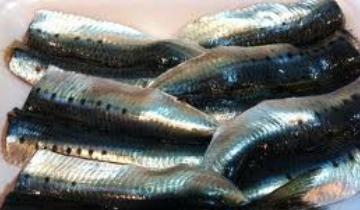 交番に生卵やイワシを投げる オートバイで暴走の少年グループを摘発 移転しました オタク Com 跡地