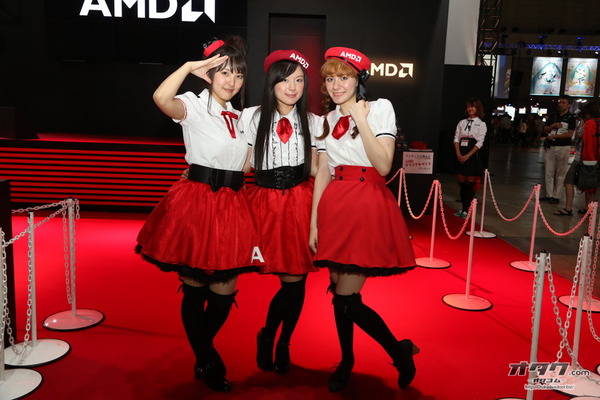 TGS companion (110)