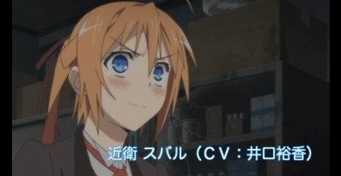 bdcam 2011-04-29 00-13-10-690