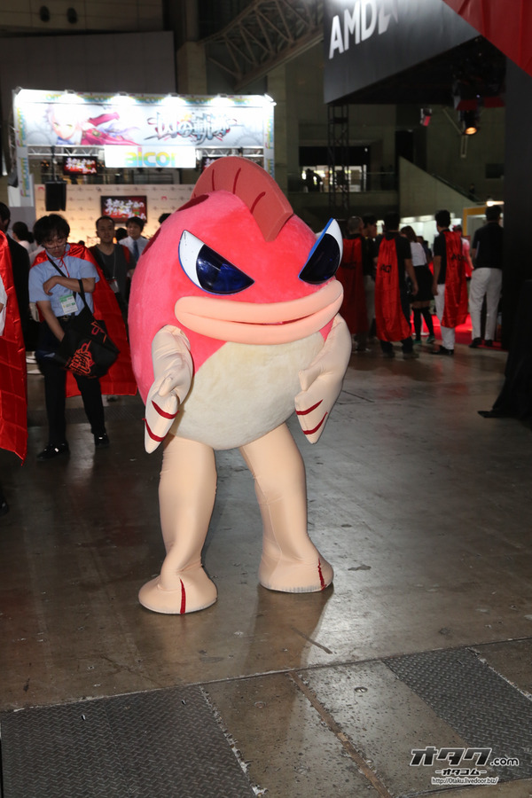 TGS companion (108)