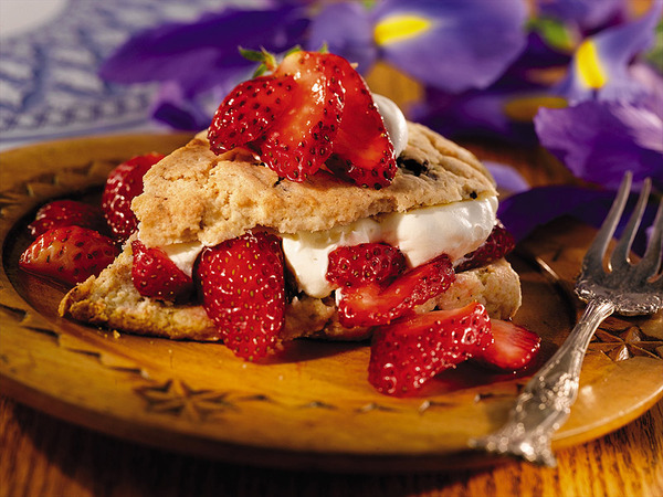 chocolate_chip_shortcake_lrg