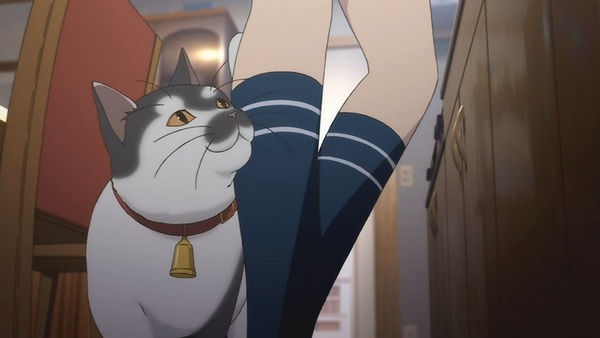 151607