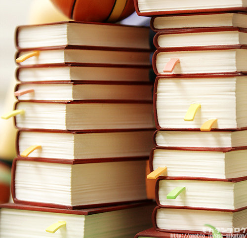 o0500048210988660126