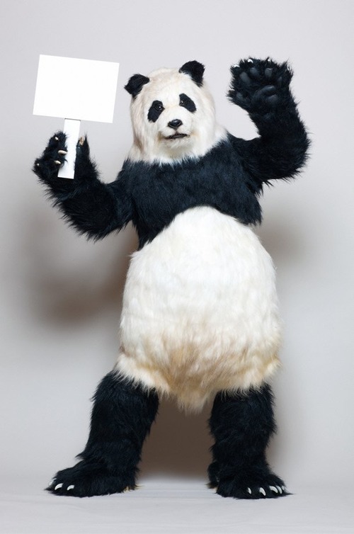 news_large_panda