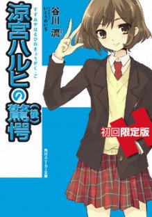 bdcam 2011-05-17 21-35-45-286