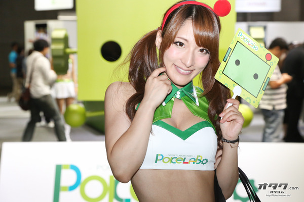 TGS companion (85)