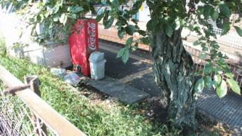 s-IMG_0523s