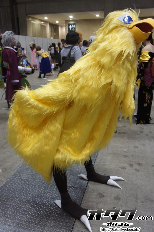 DSC014544661