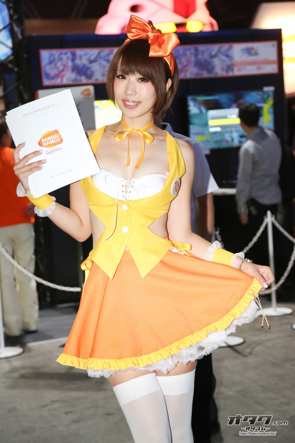 TGS companion (65)