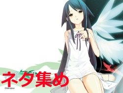 wp_saya1_800a