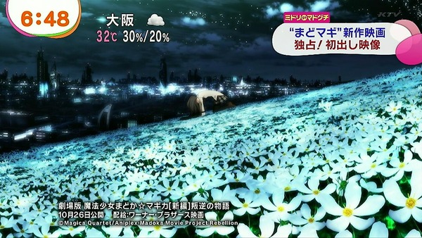 my10113HLlYtXK4Ixqp2SOE