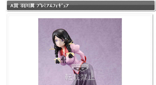 bdcam 2011-03-25 06-03-56-472