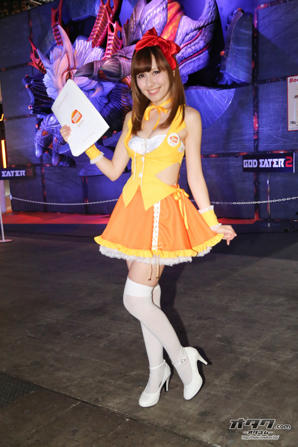 TGS companion (63)