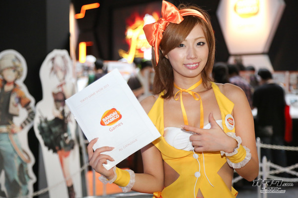 TGS companion (62)