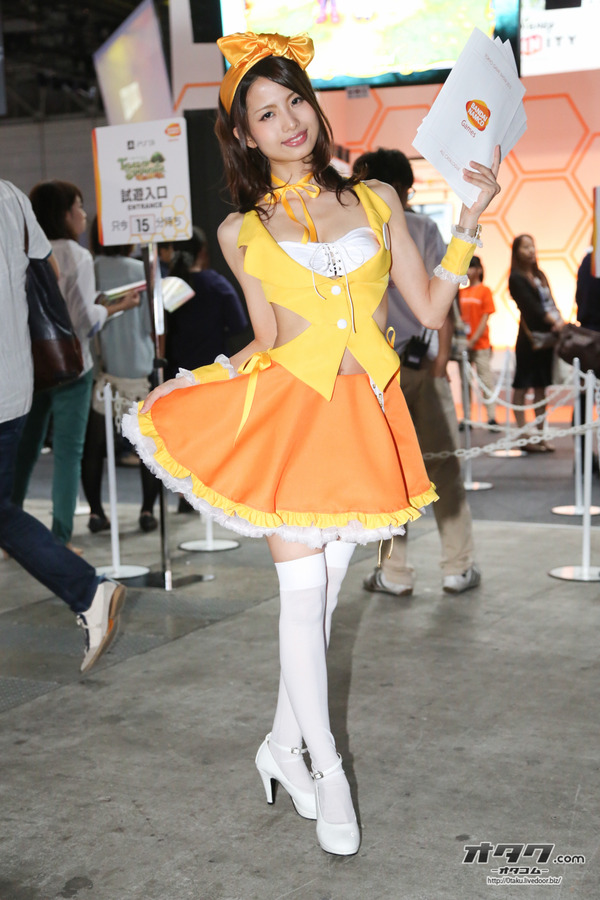TGS companion (57)