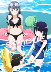 toranoana