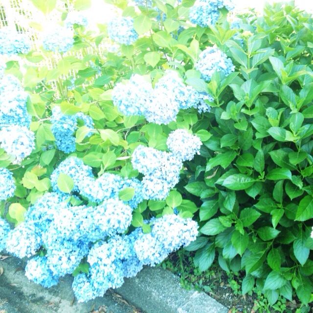 週末の思い出 新婚週末婚ブログ