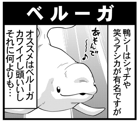 第34１話 ベルーガ オタク父さんの日常