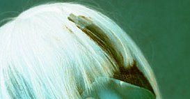 c23acee4e078fafb5b6b-LL