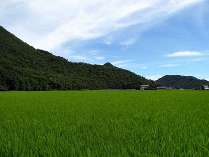 IMG_3622m