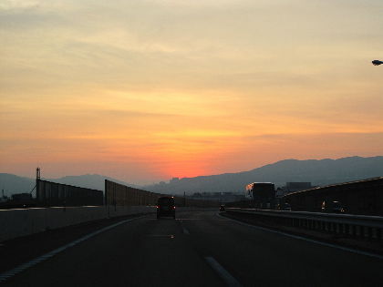IMG_6556