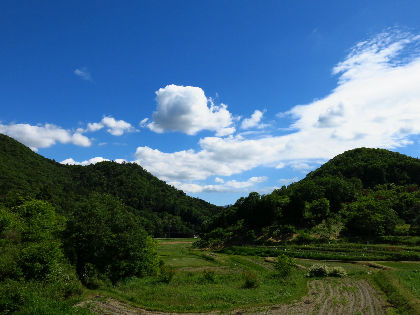 IMG_7657(1)